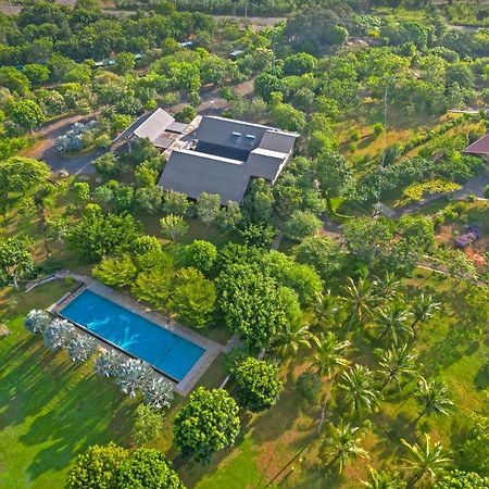 Birds Resort هامبانتوتا المظهر الخارجي الصورة
