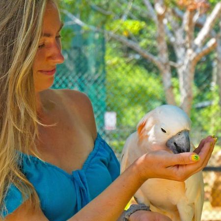 Birds Resort هامبانتوتا المظهر الخارجي الصورة