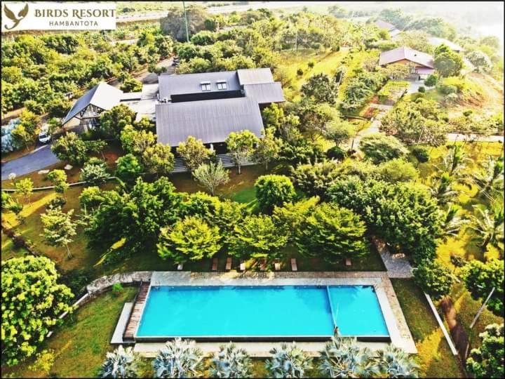 Birds Resort هامبانتوتا المظهر الخارجي الصورة