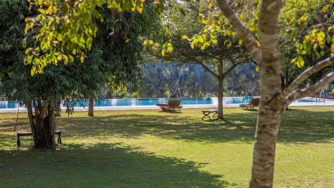 Birds Resort هامبانتوتا المظهر الخارجي الصورة