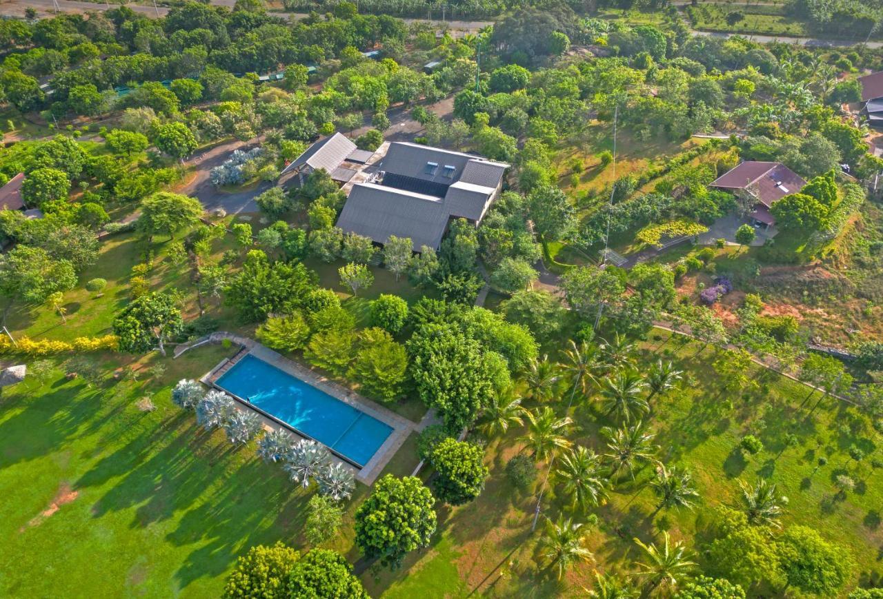 Birds Resort هامبانتوتا المظهر الخارجي الصورة
