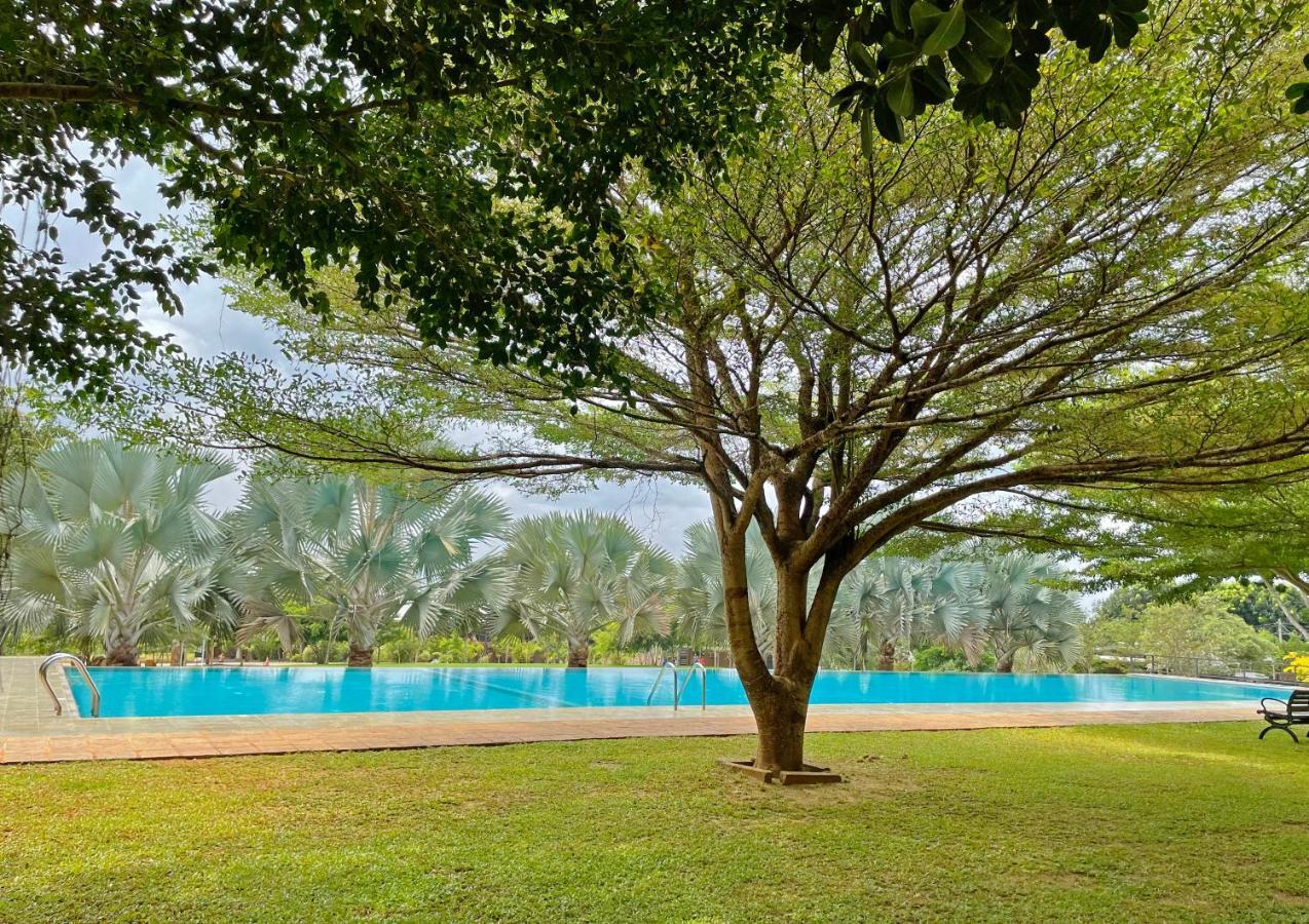 Birds Resort هامبانتوتا المظهر الخارجي الصورة